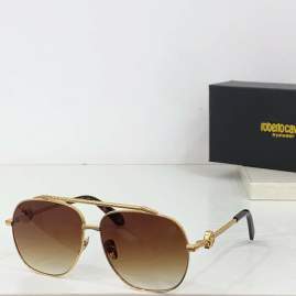 Picture of Roberto Cavalli Sunglasses _SKUfw62887553fw